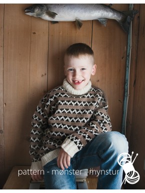 Traditional Sweater for Boys